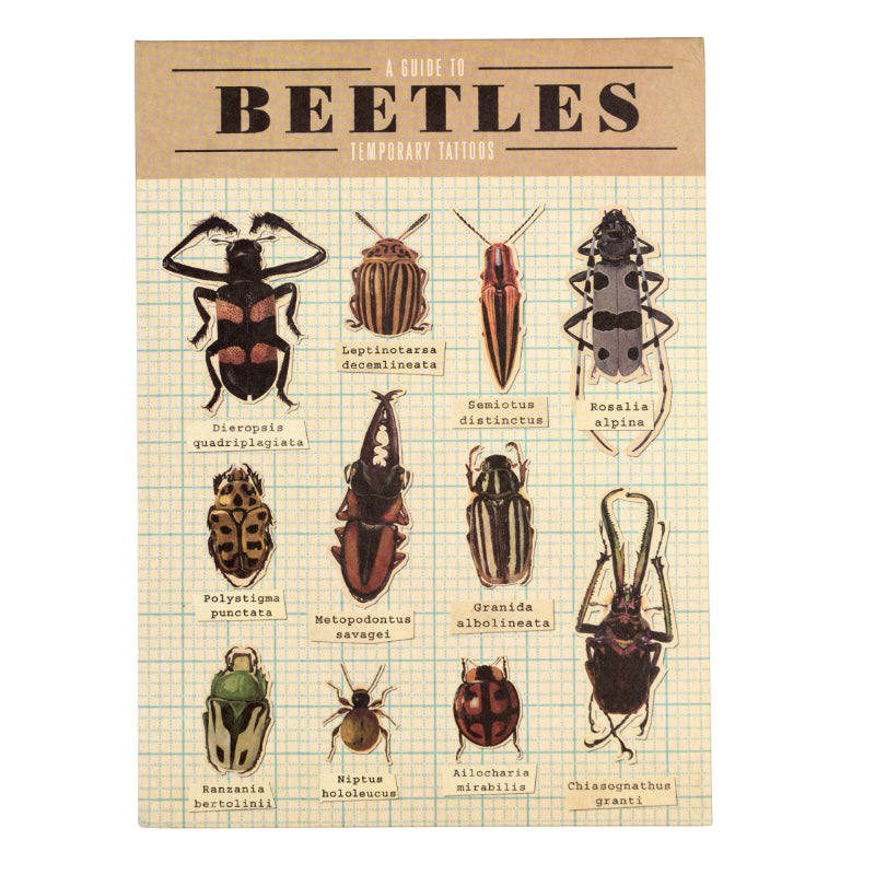 Beetle Tattoos