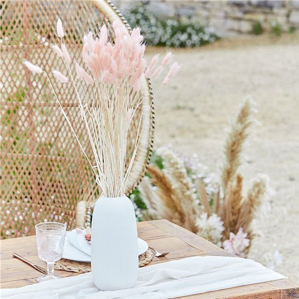 pink bunny tail grass