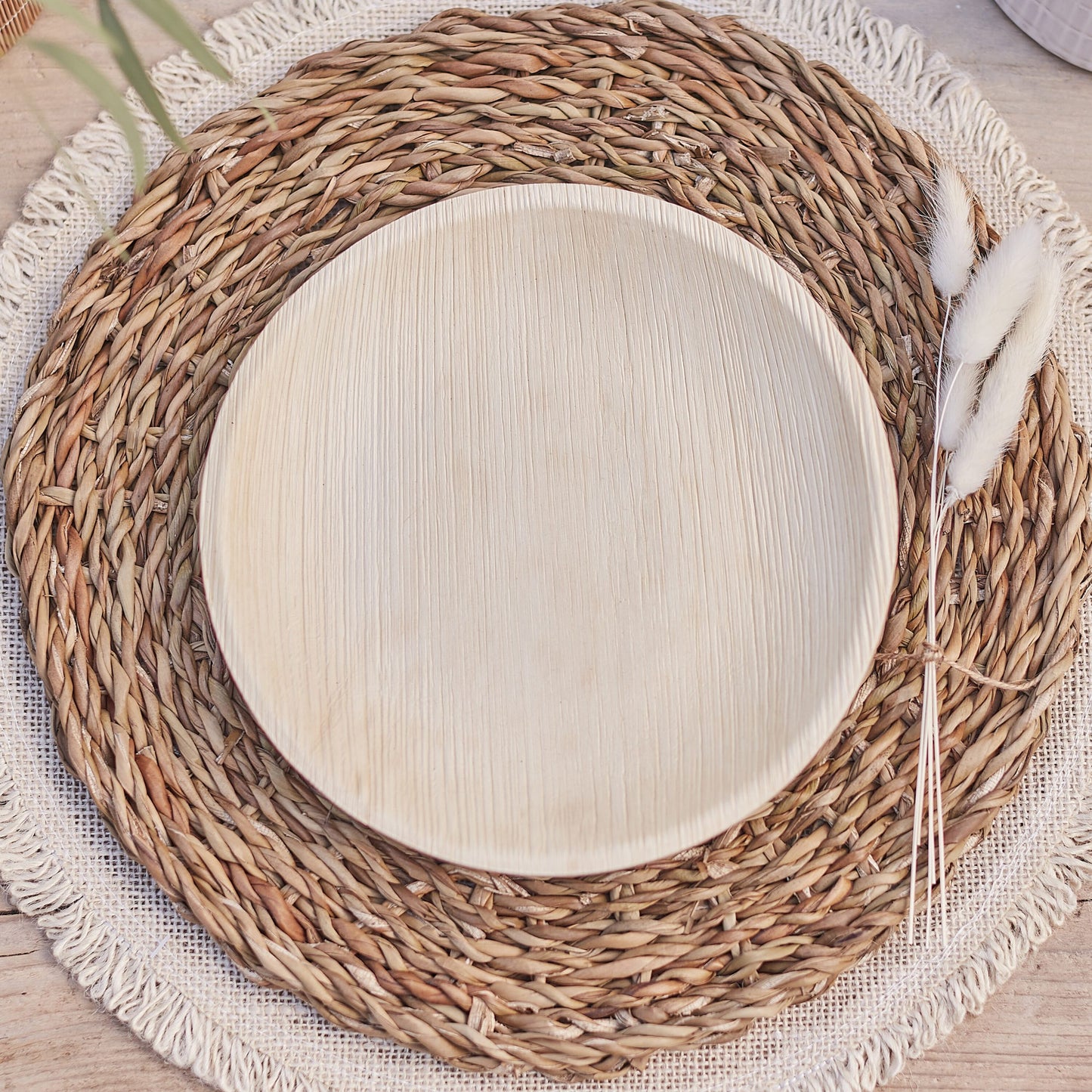 eco palm plates