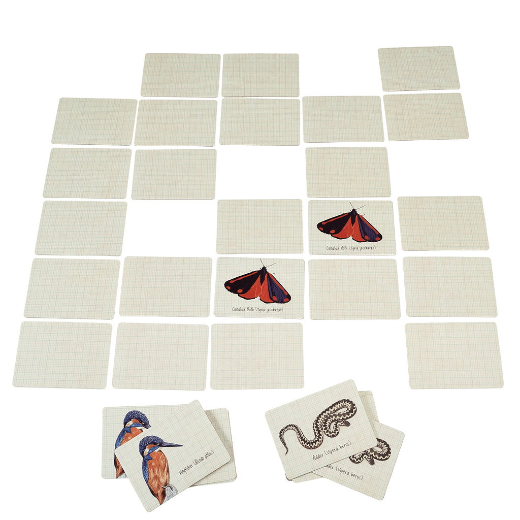 Nature Trail Memory Game