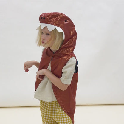 Dinosaur Costume Age 3-6