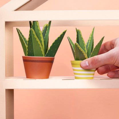 Make Your Own Mindful Aloe Vera Paper Plant Kit