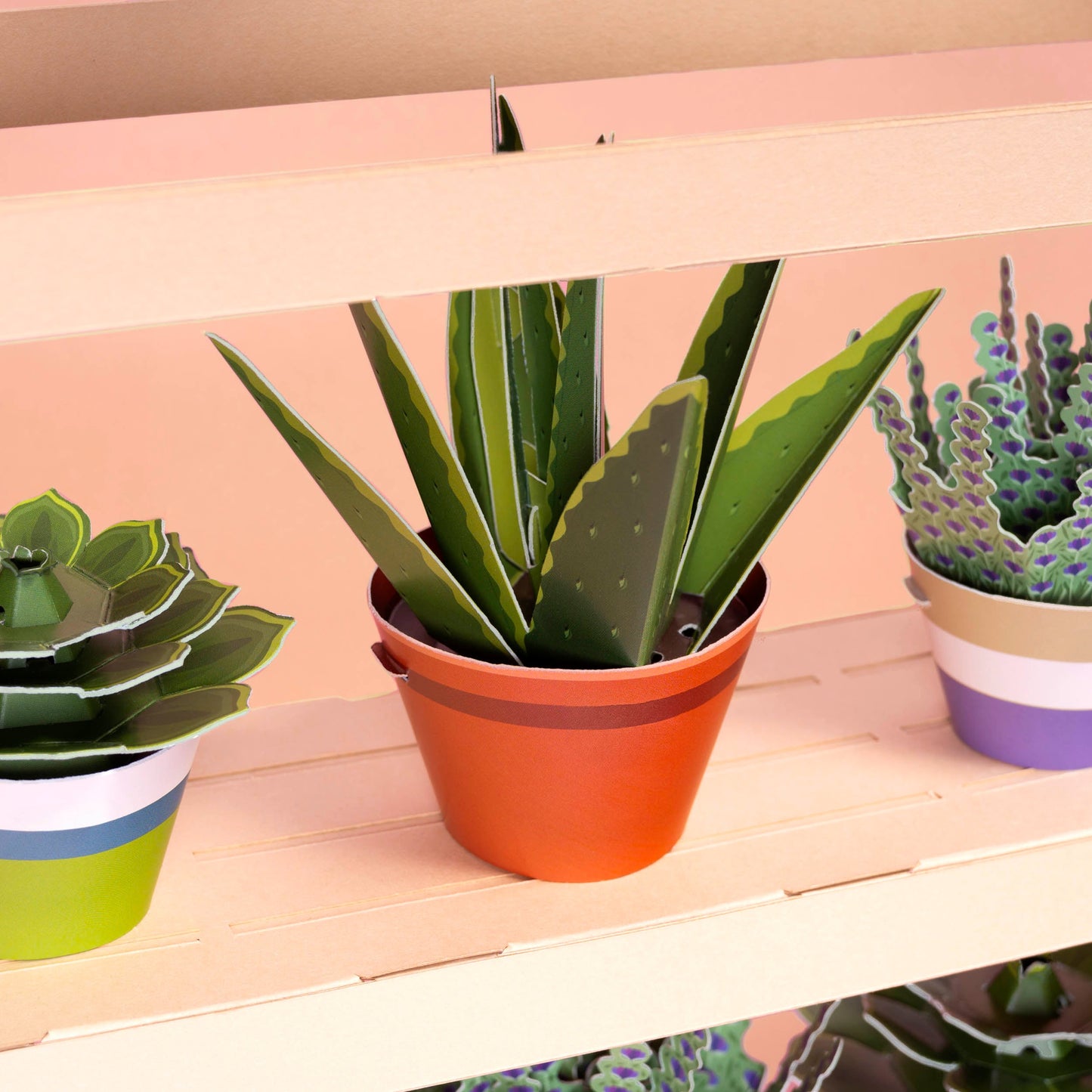 Make Your Own Mindful Aloe Vera Paper Plant Kit