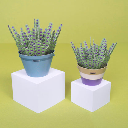 Make Your Own Calming Lavender Paper Plant Kit